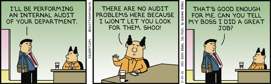 Why Do They Think Internal Auditors Are Looking for Problems? – Richard  Chambers